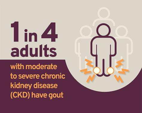 1 in 4 adults